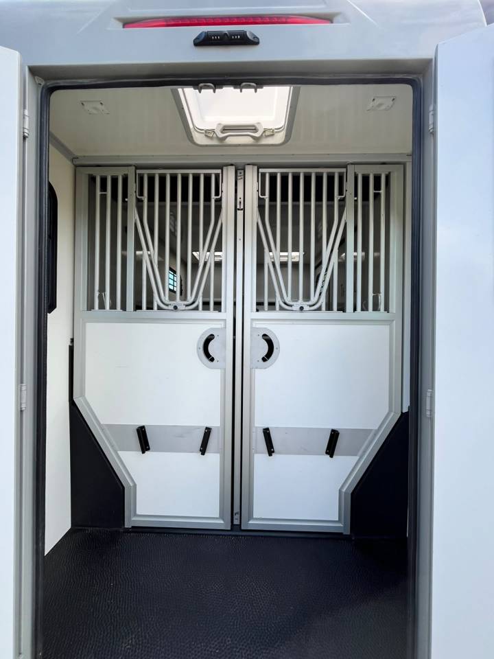 Camion Chevaux Th&eacute;ault Proton 5L &ndash; Configuration SWITCH