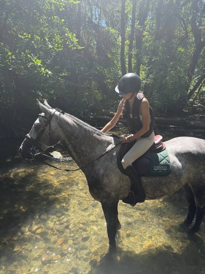 ✨ &Agrave; vendre &ndash; Jument hongroise de 6 ans