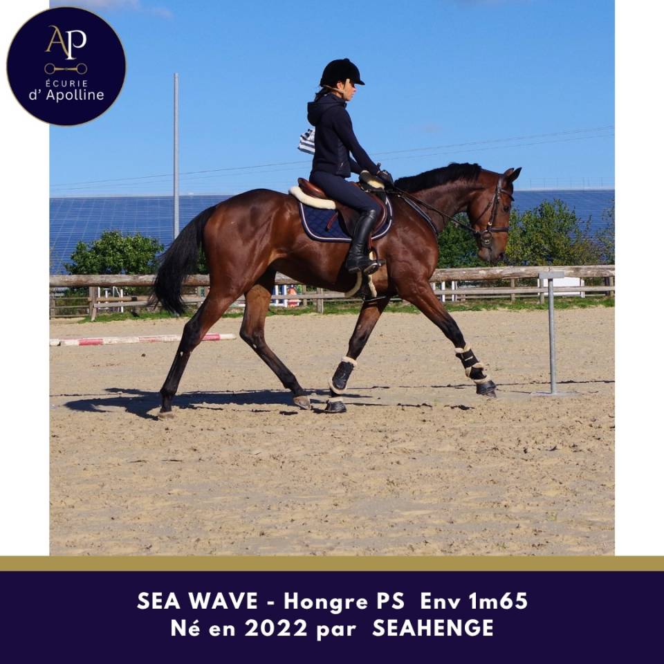 Magnifique 4 ans bon mental