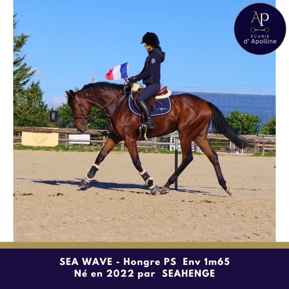 Magnifique 4 ans bon mental