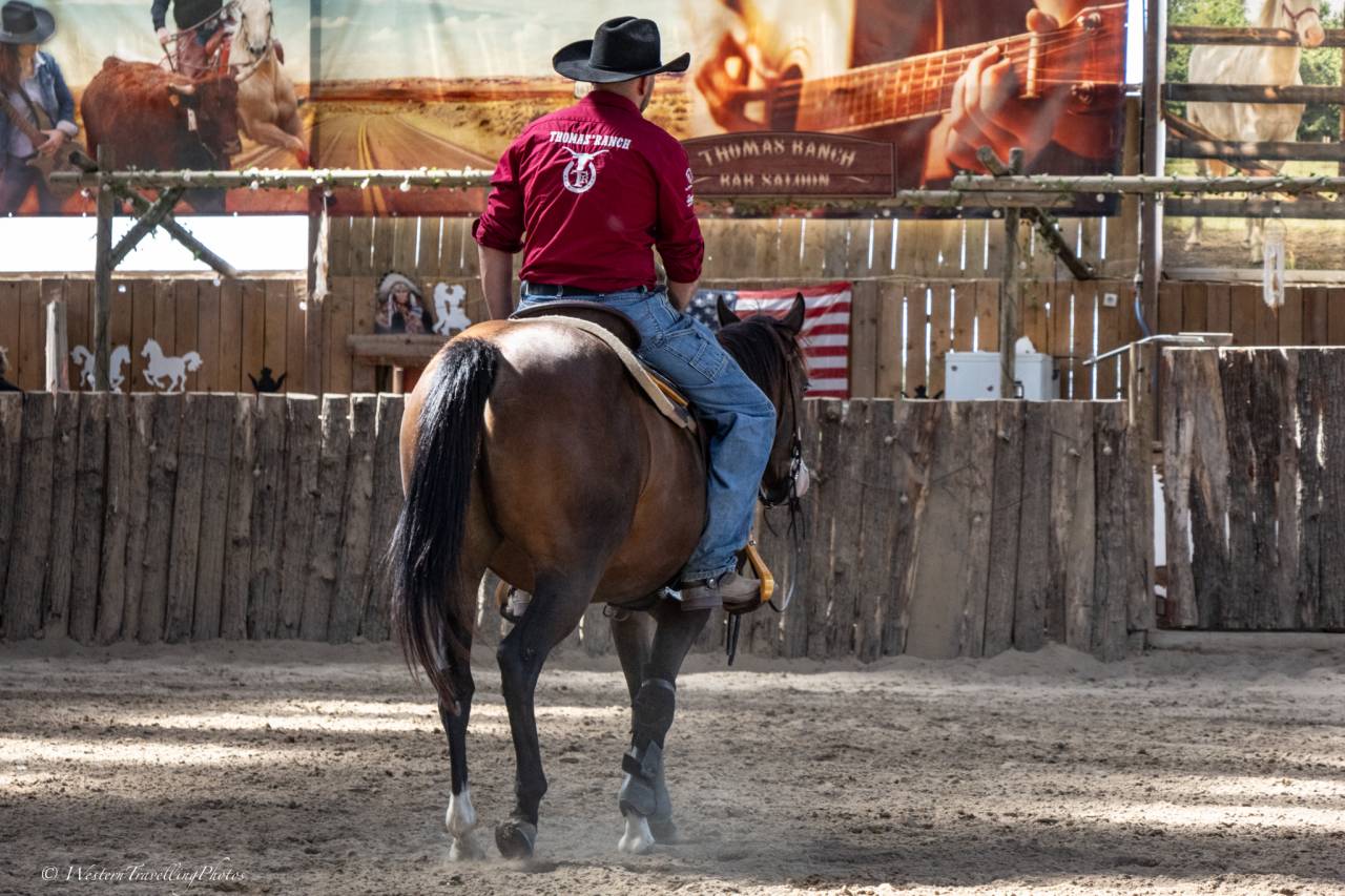 Jument Quarter Horse AQHA &mdash; TR MENDY GREAT BUENO (3 ans
