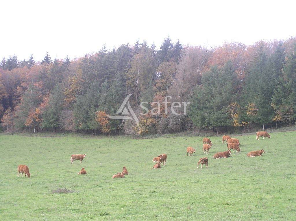 Propri&eacute;t&eacute; d'&eacute;levage Bio d'environ 113 ha