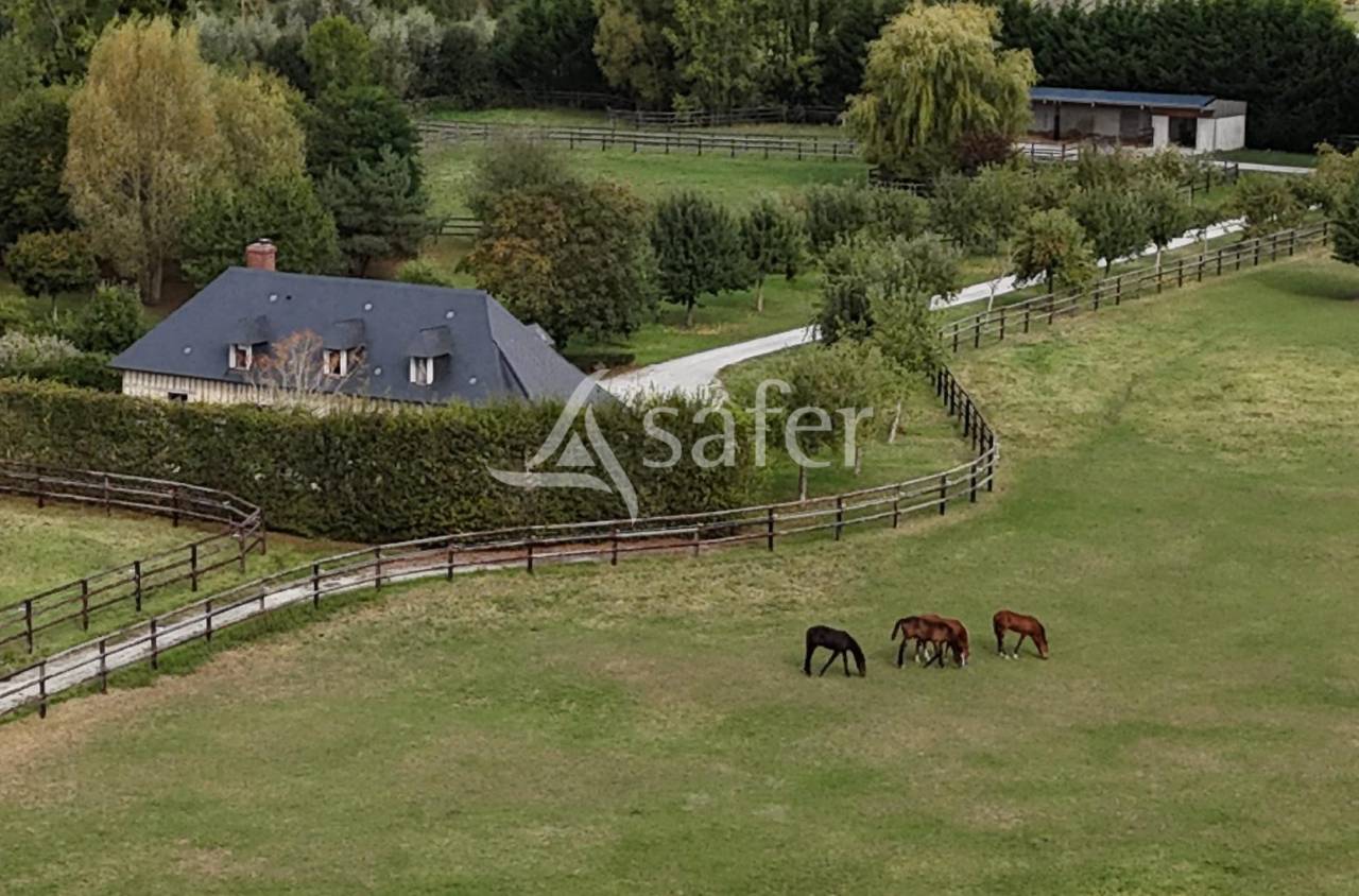 Haras d'&eacute;levage - Pays d'Auge