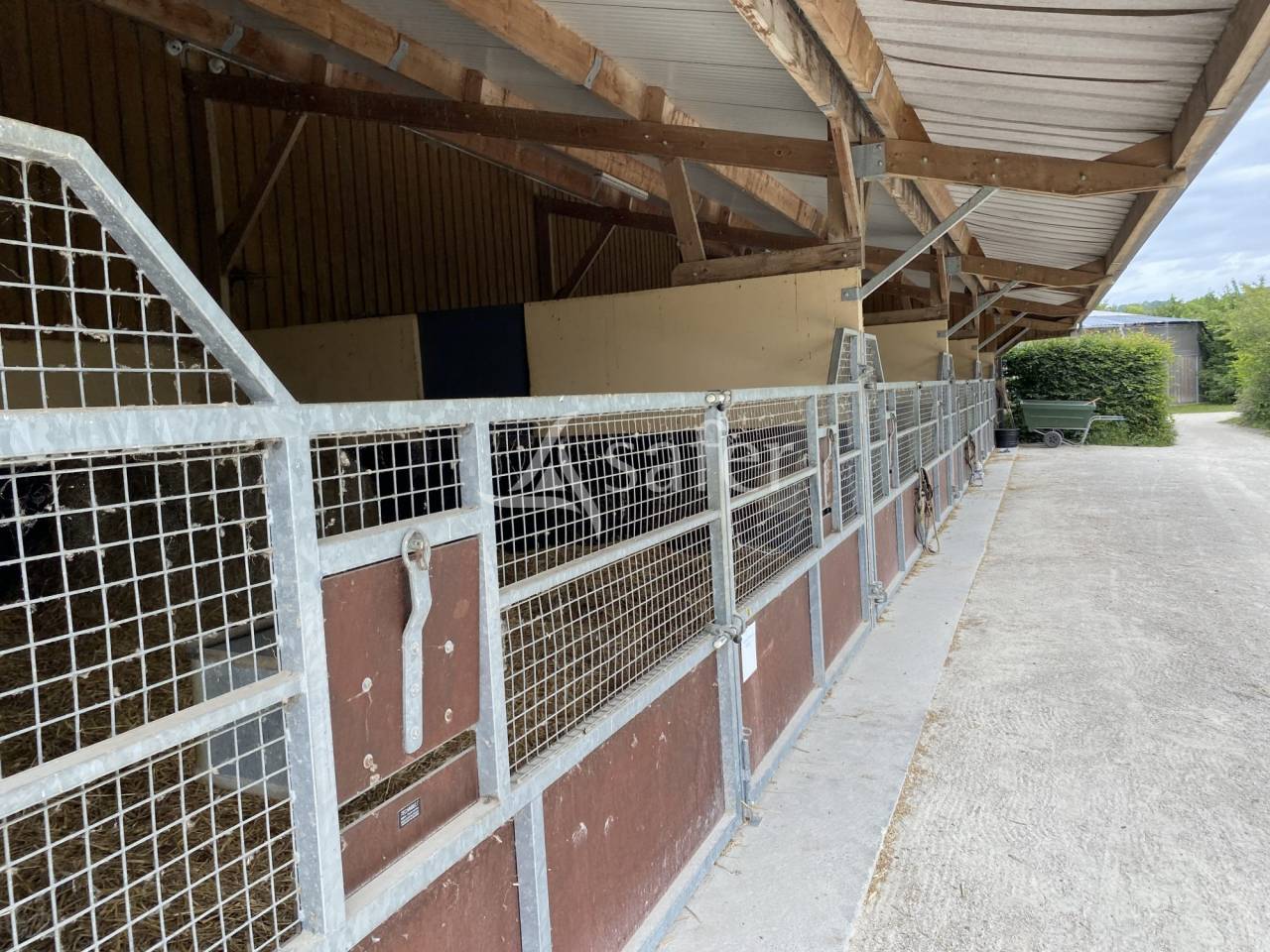 Haras d'&eacute;levage - Pays d'Auge