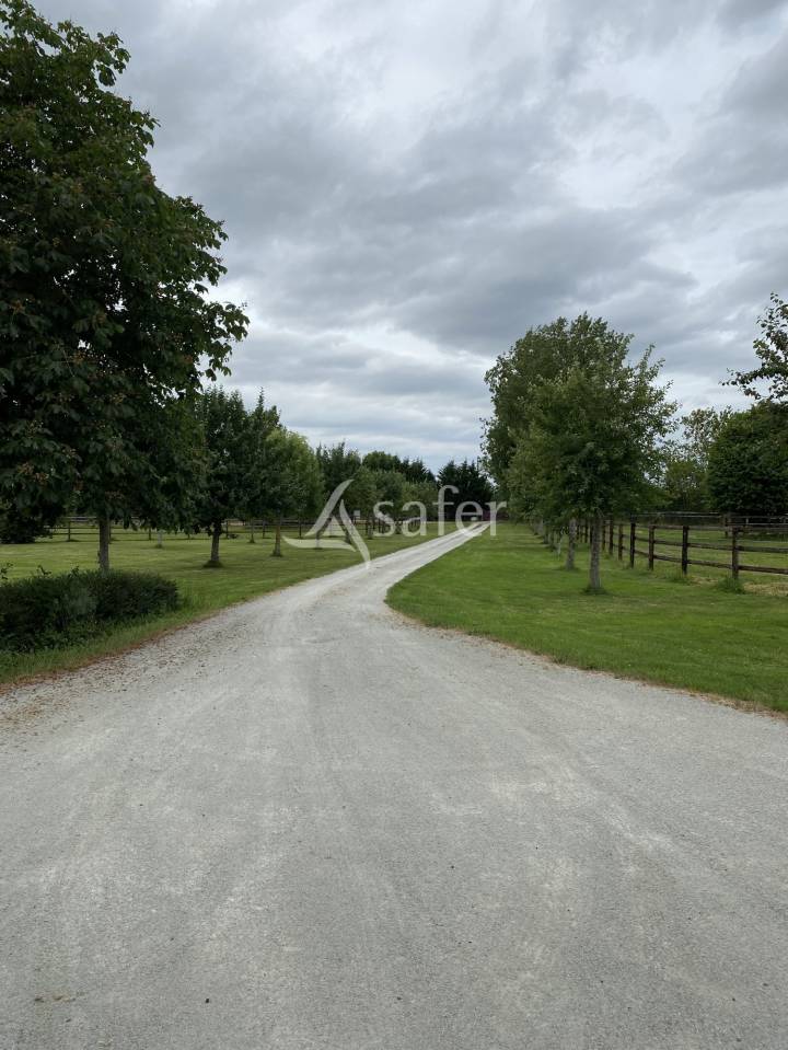 Haras d'&eacute;levage - Pays d'Auge