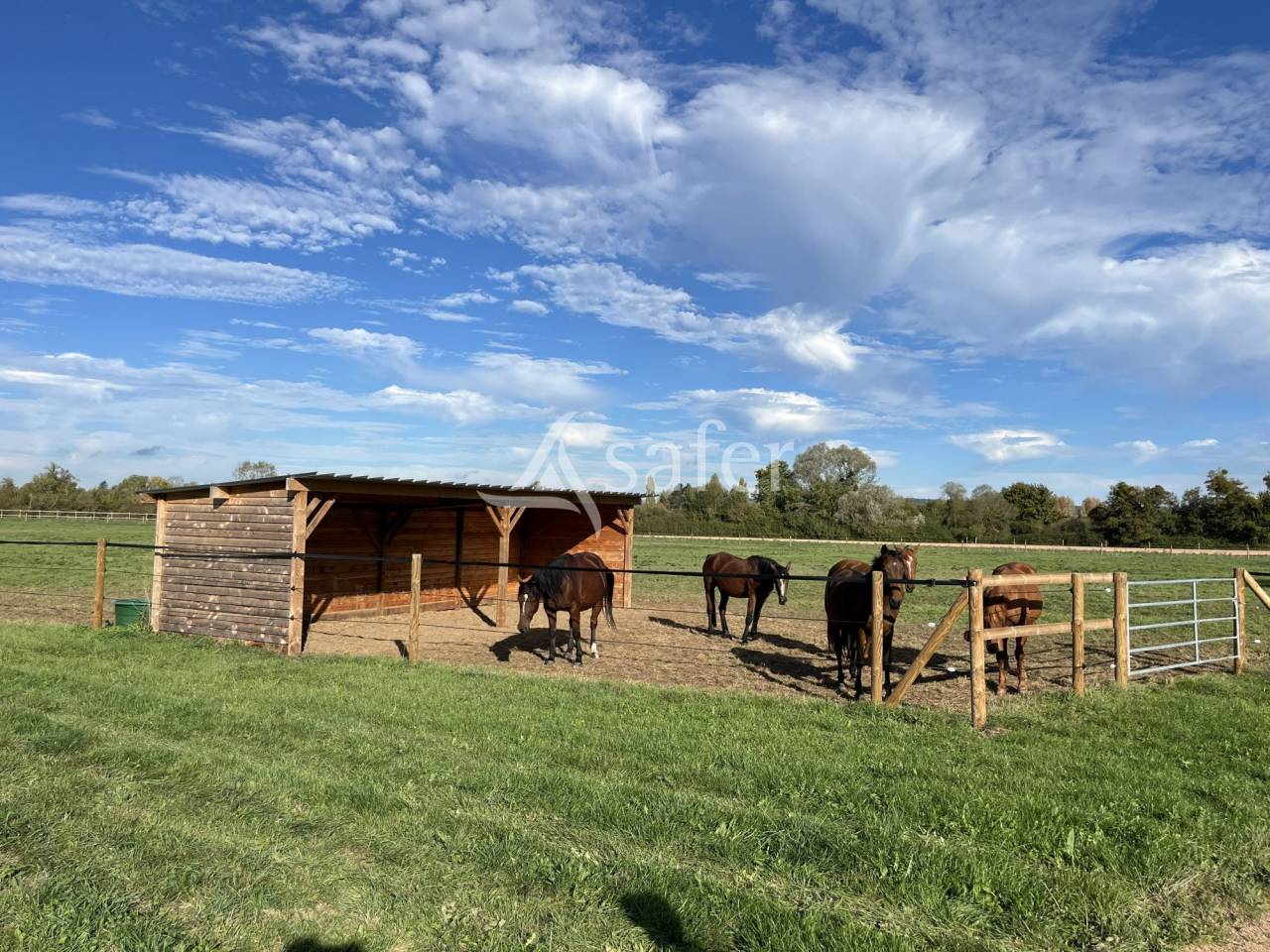 Centre d'entrainement trotteur - Pays d'Auge