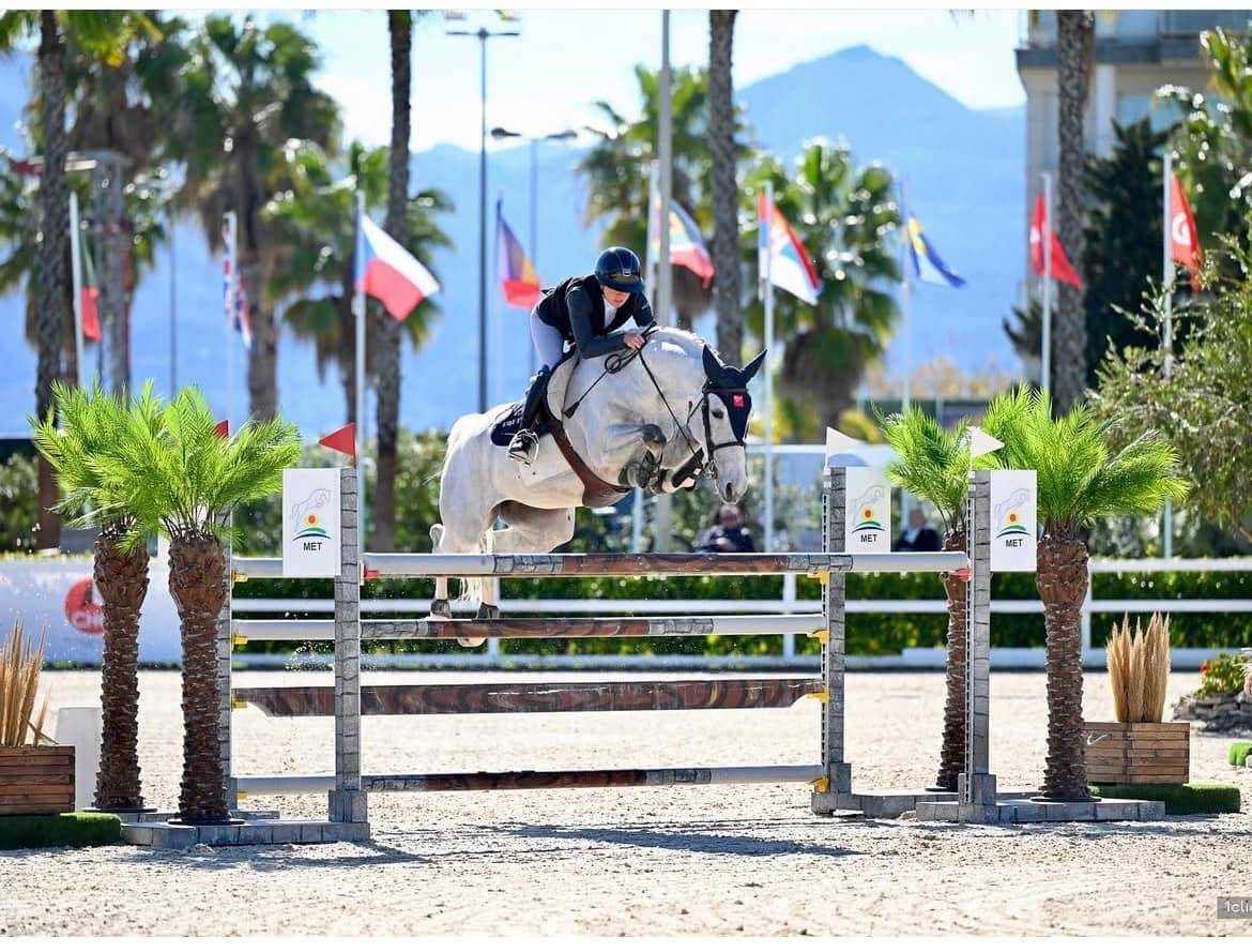  ? &Agrave; LA RECHERCHE DE VOTRE FUTUR CHEVAL DE SPORT ?