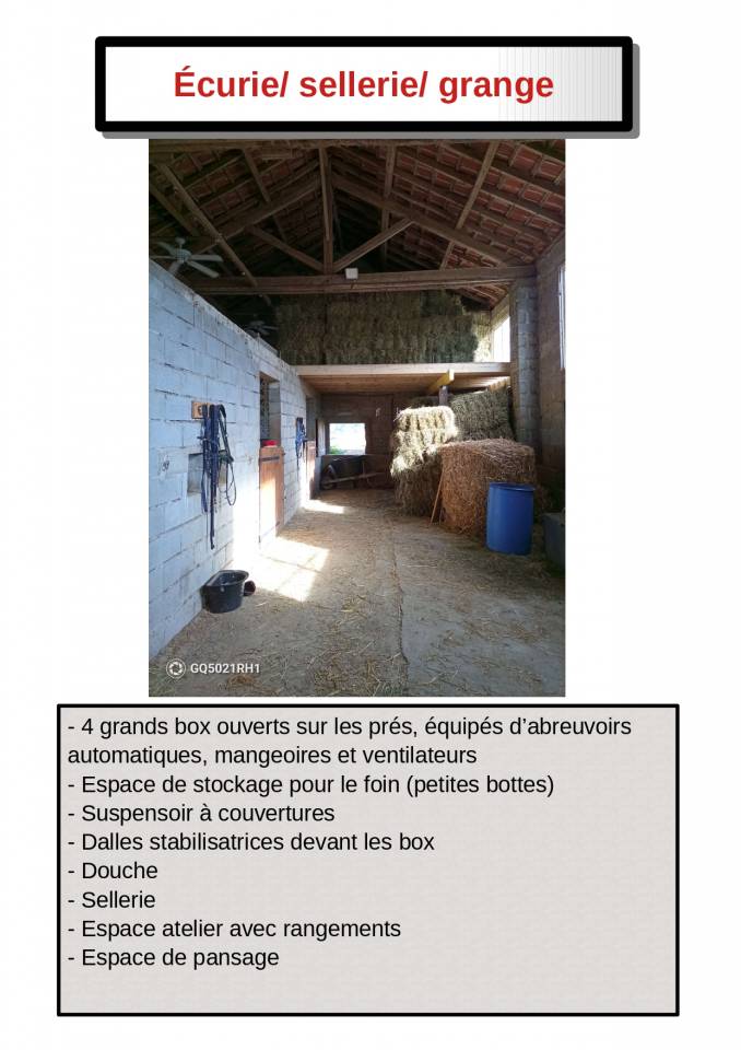 Vente propri&eacute;t&eacute; &eacute;questre avec g&icirc;te, 5ha