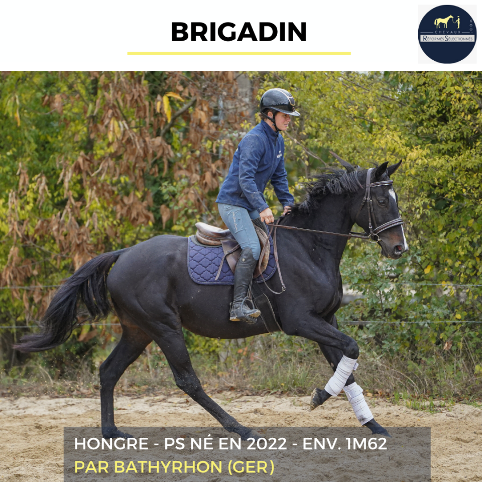 BRIGADIN - PS - 4 ANS
