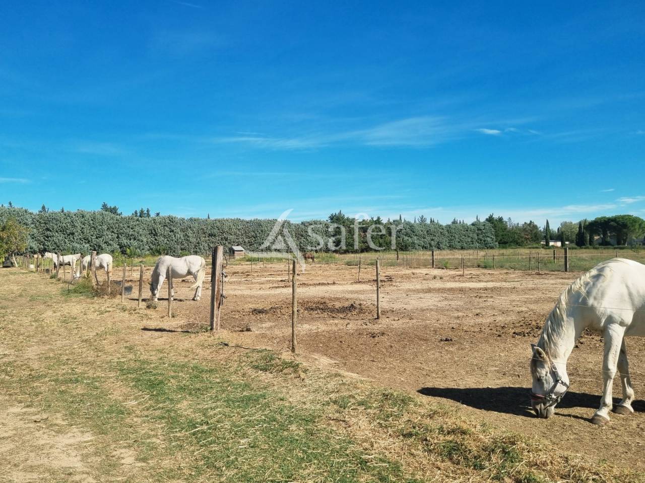 Centre &eacute;questre parfaitement fonctionnel sur quasiment 6 ha de