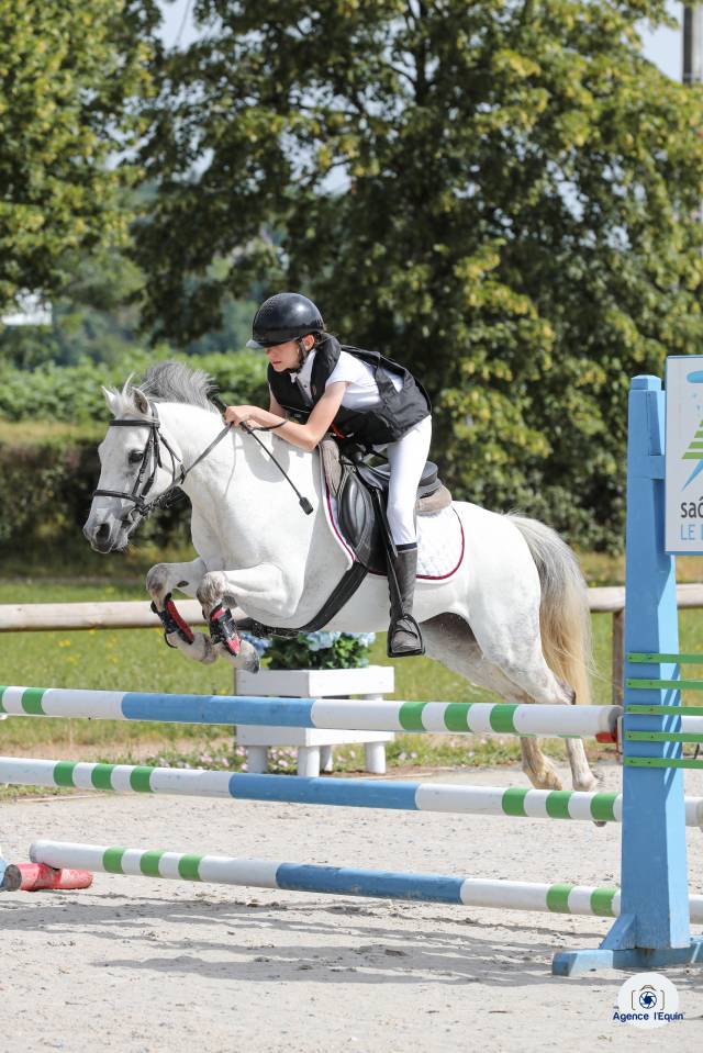 Poulini&egrave;re pleine welsh B - 5 points pace - ipo 124