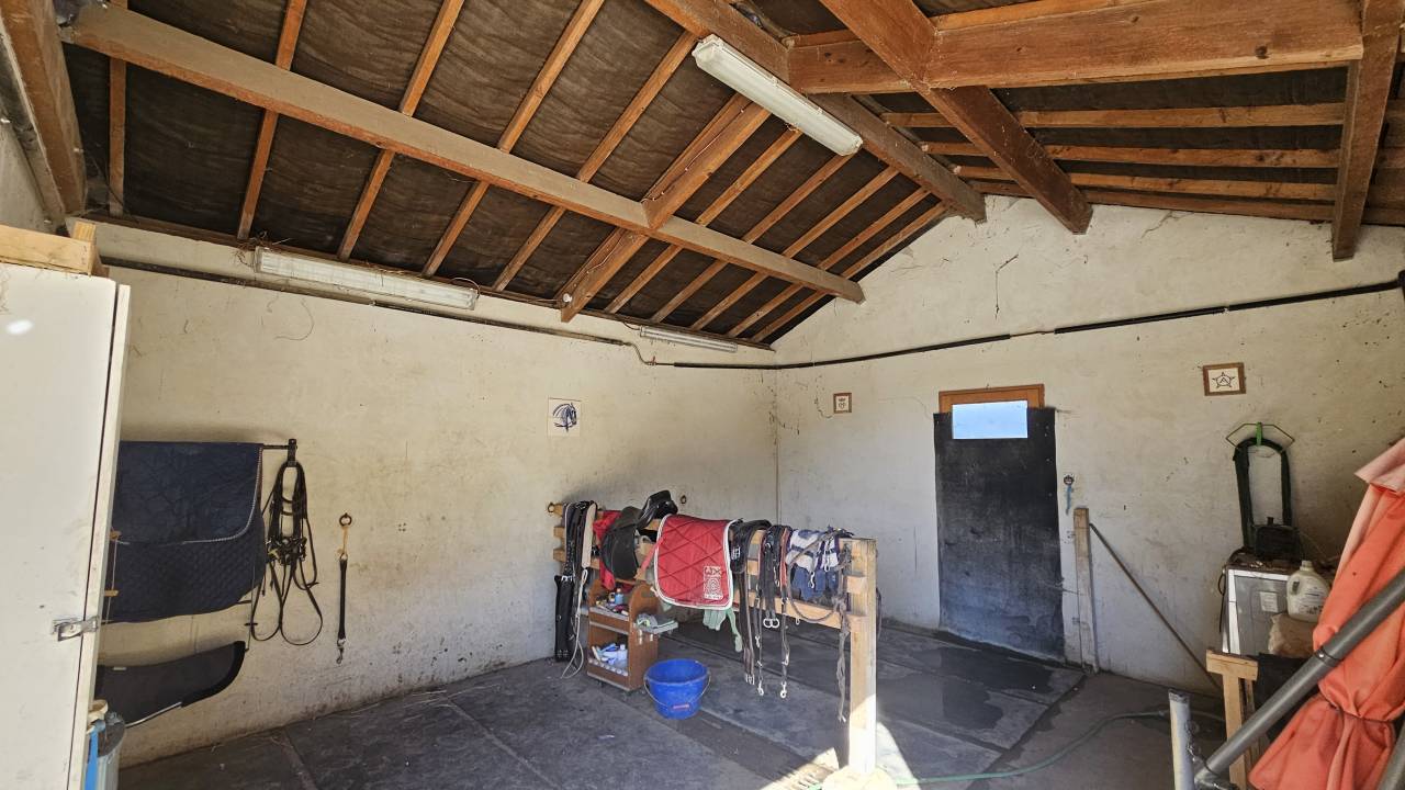 Domaine &eacute;questre professionnel + grande maison 