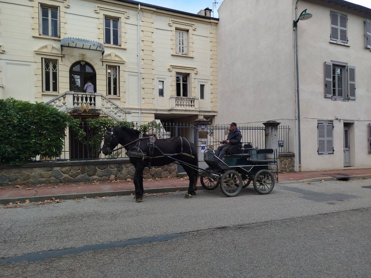 Noukie, jument Percheronne
