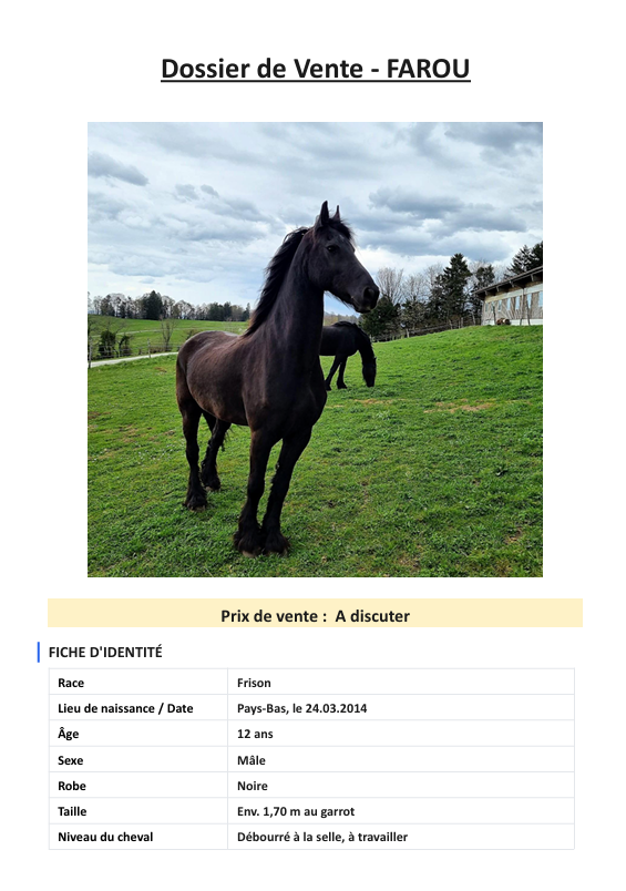 Farou - 2 frisons &agrave; vendre, si possible ensemble