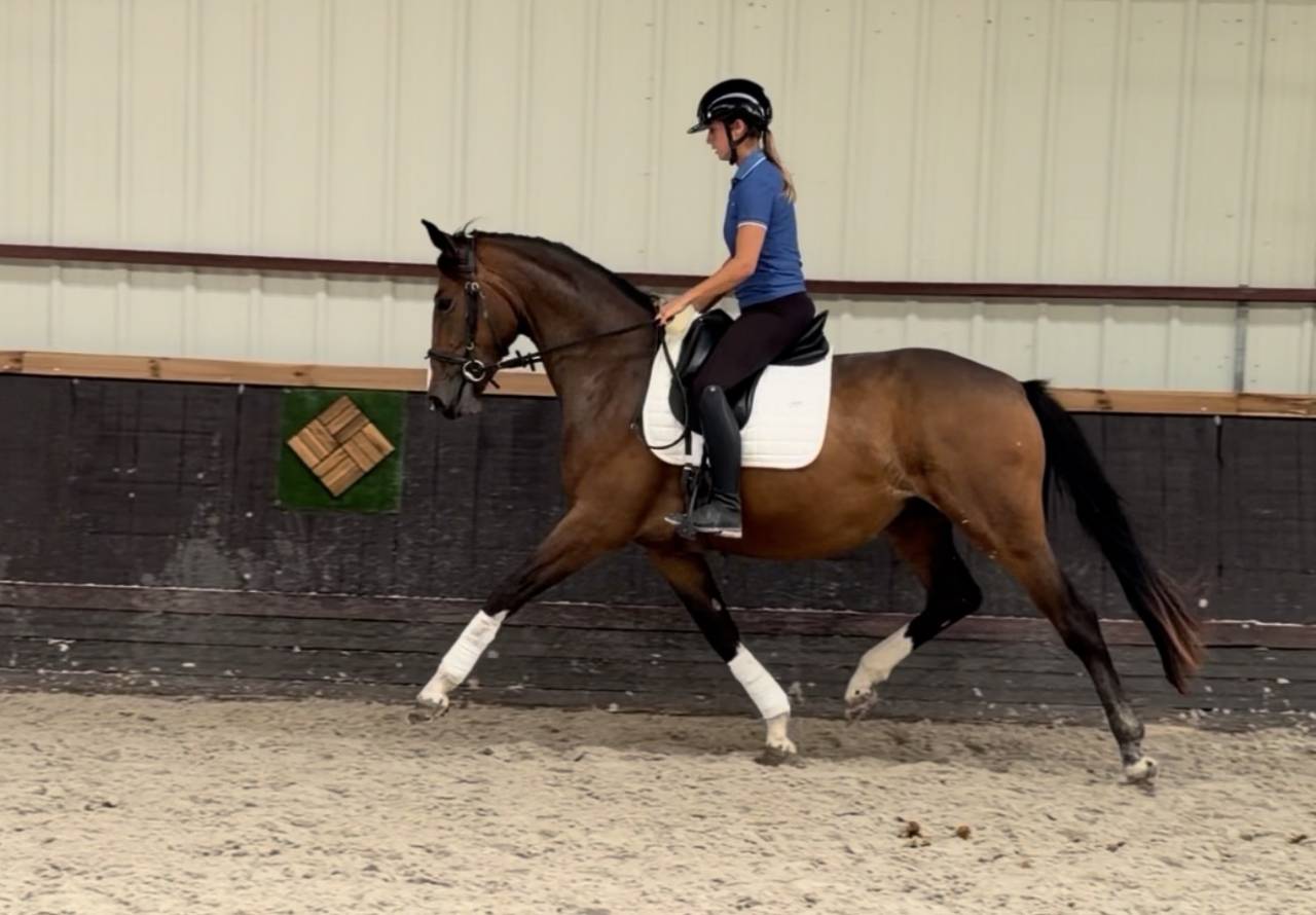NO mercy