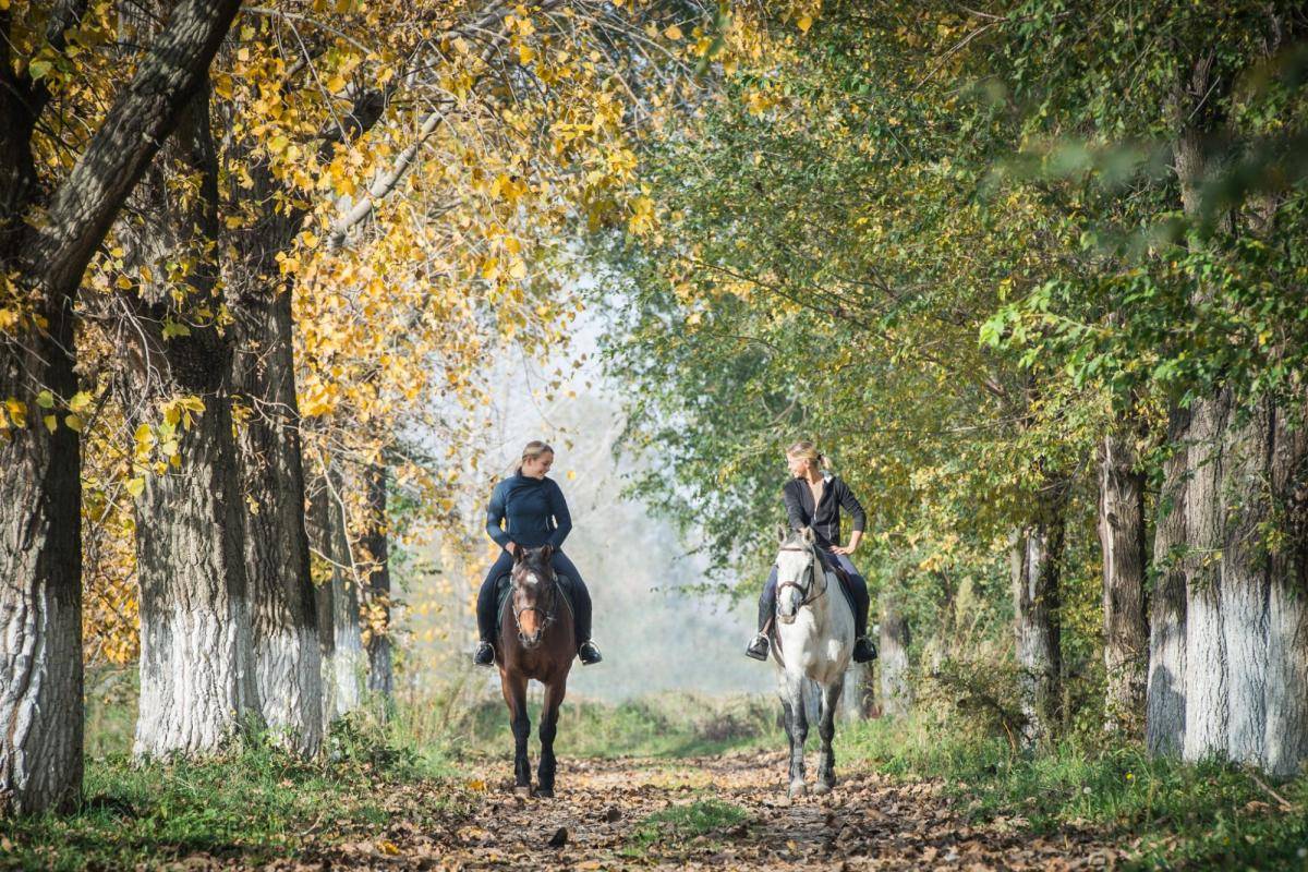Proche Montpellier - Domaine &eacute;questre r&eacute;cent sur 7 hectares