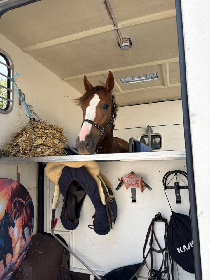 Poney CSO comp&eacute;titif, 5 ans en 2027