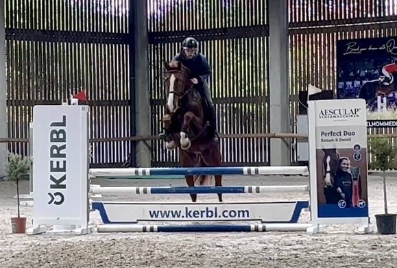 Hongre de 7 ans, +-1m65, BWP, par Nixon vh Meulenhof