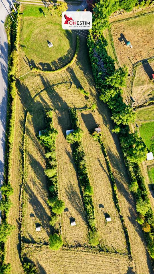 Propri&eacute;t&eacute; &eacute;questre -Chalain le Comtal (42) 1.6 hectares