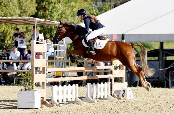 Jument Origine Constat&eacute;e A vendre 2015 Alezan