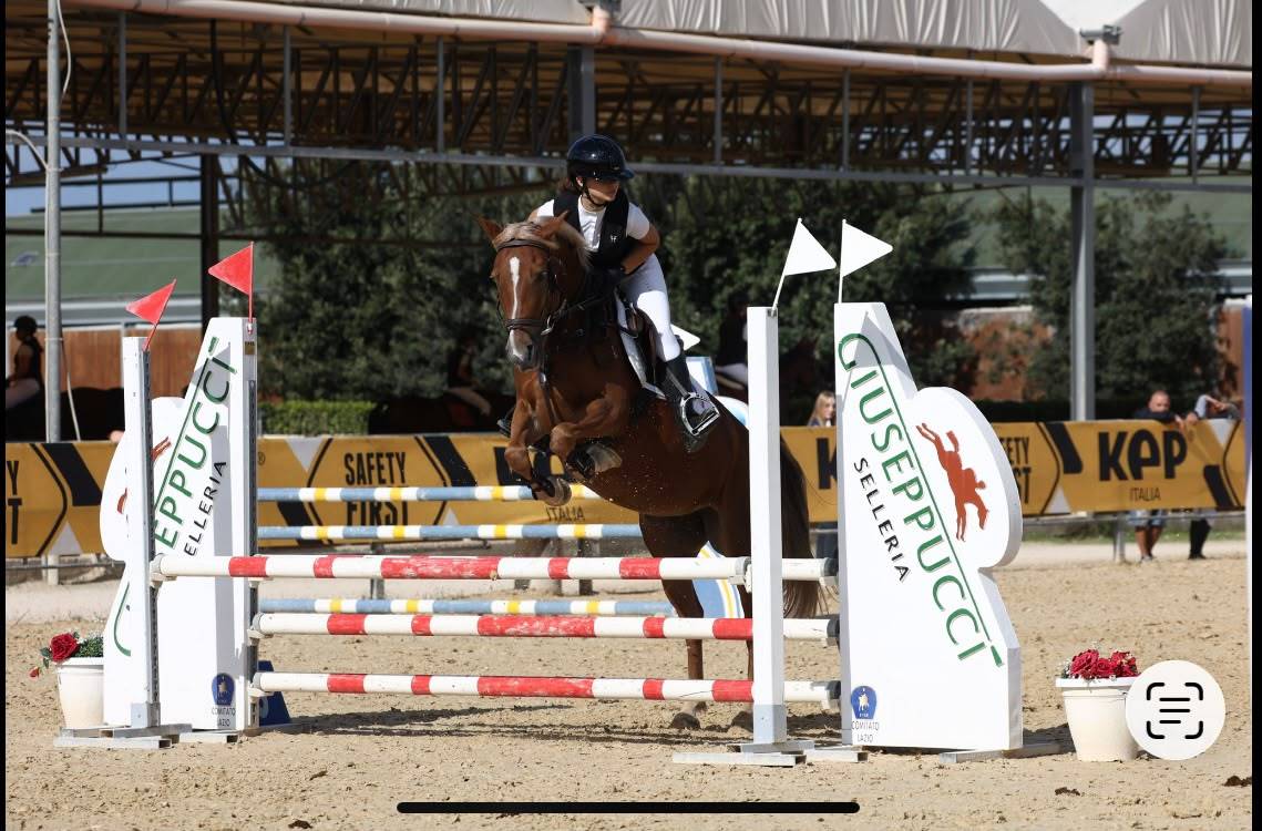 Jument Origine Constat&eacute;e A vendre 2015 Alezan