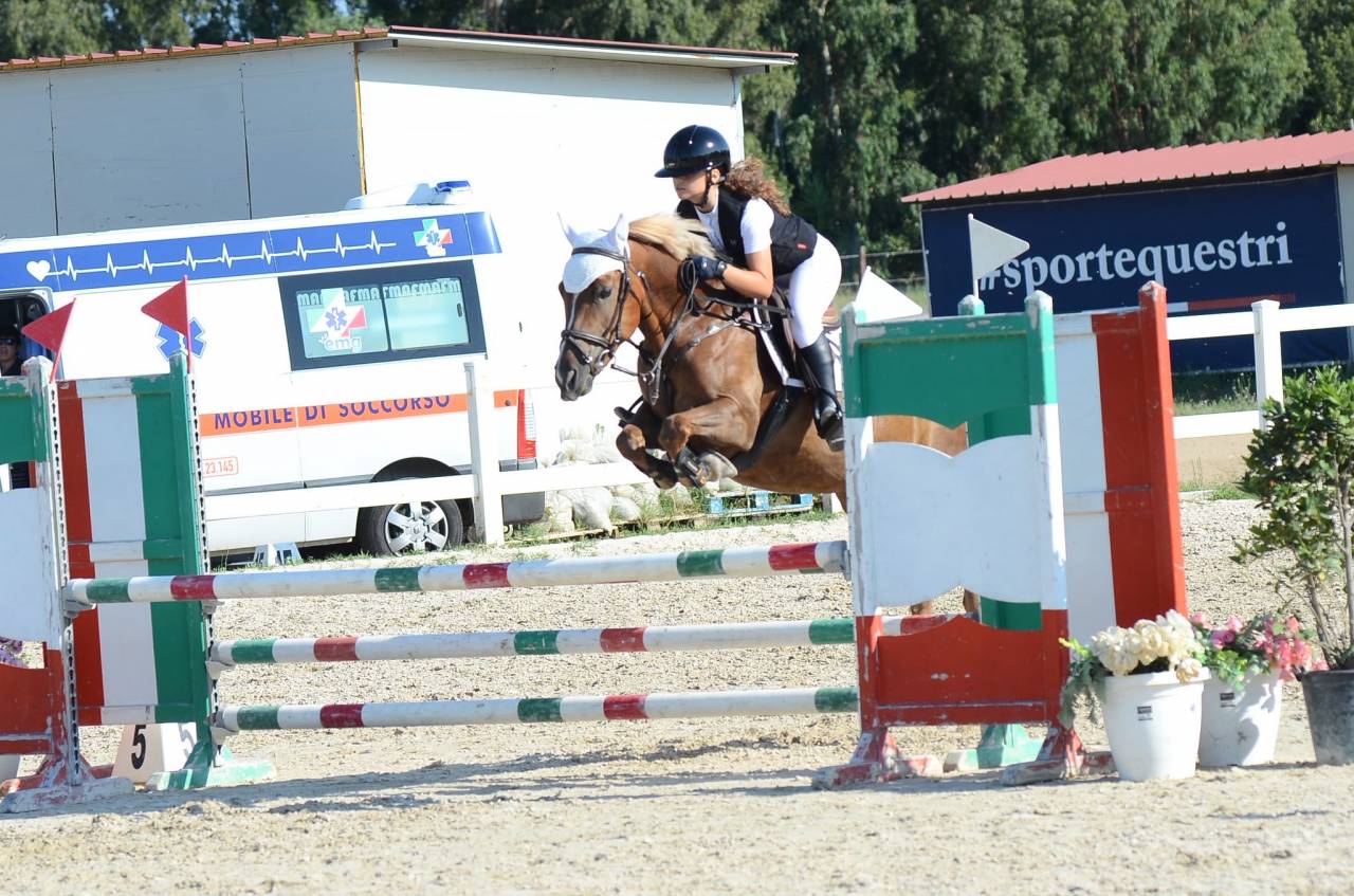 Jument Origine Constat&eacute;e A vendre 2015 Alezan