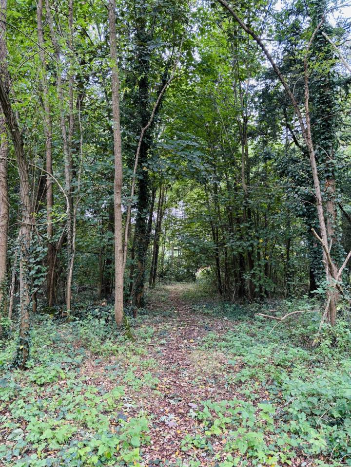 &Agrave; VENDRE  Propri&eacute;t&eacute; &eacute;questre de 2,8 hectares &agrave; Vimory (4