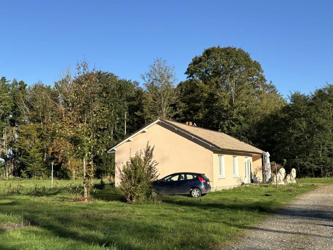 &Agrave; VENDRE  Propri&eacute;t&eacute; &eacute;questre de 2,8 hectares &agrave; Vimory (4