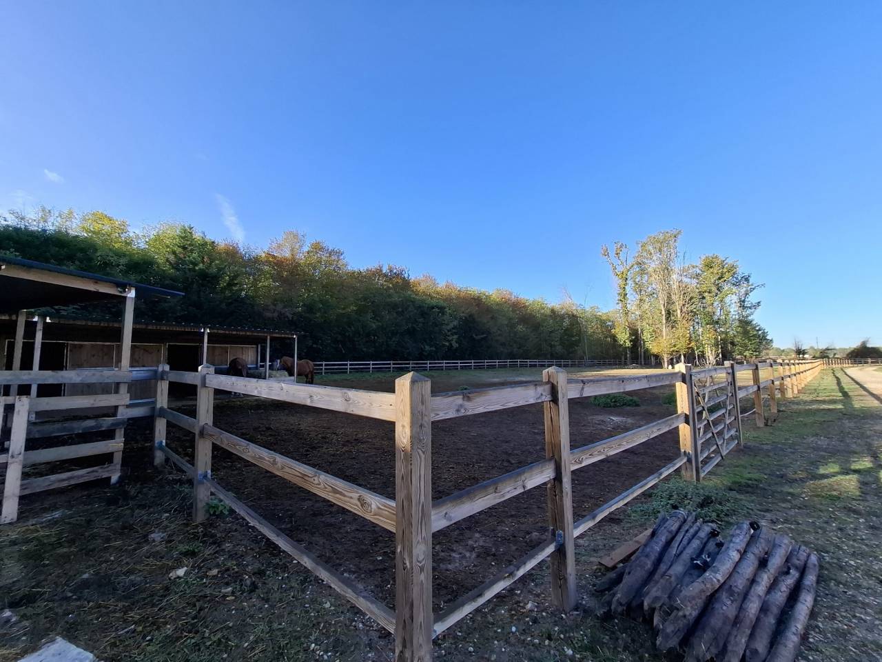 &Agrave; VENDRE  Propri&eacute;t&eacute; &eacute;questre de 2,8 hectares &agrave; Vimory (4