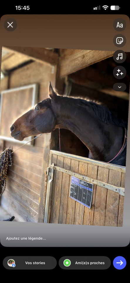 Cheval 8 ans bon moyen 