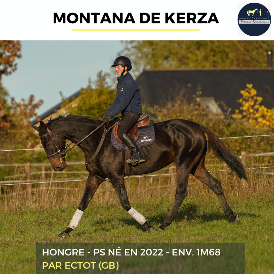 MONTANA DE KERZA - PS - 4 ANS
