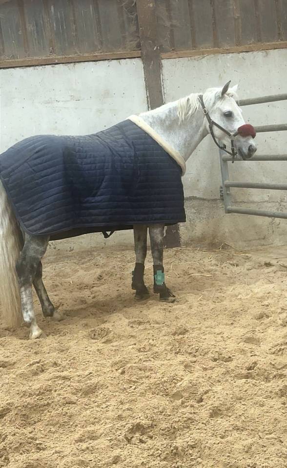 UNE PONETTE  AVEC  UN BEL AVENIR SPORTIF