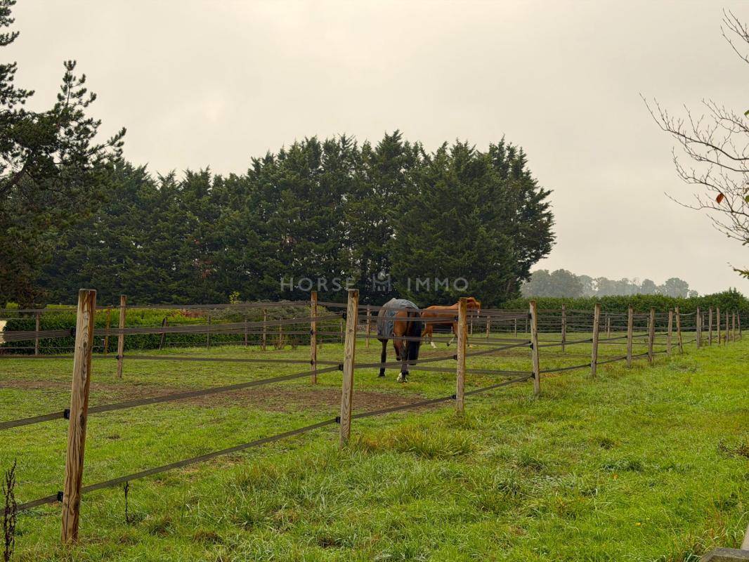 Belle Propri&eacute;t&eacute; Equestre dans le 78 proche de Paris