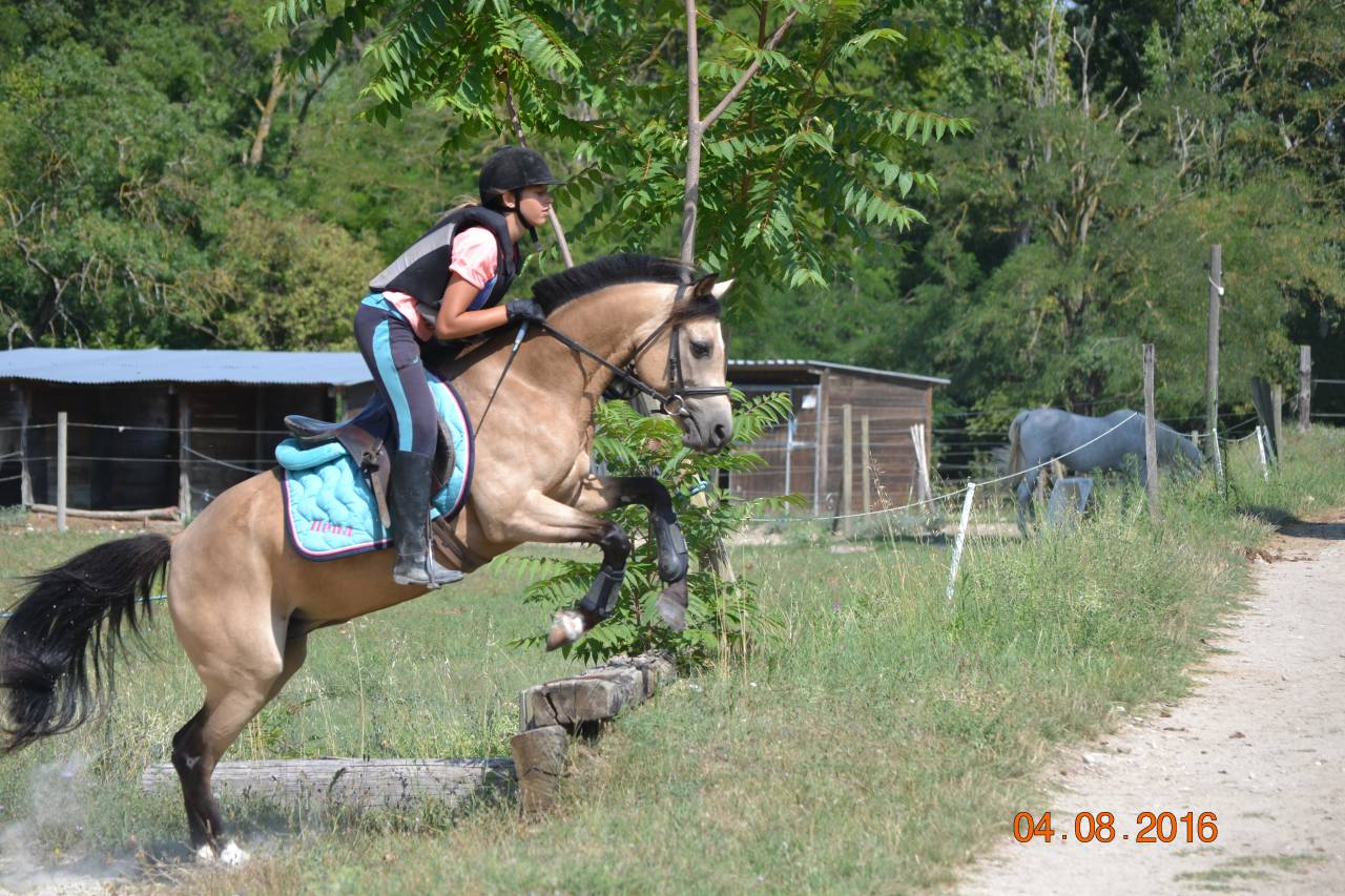 Séjour Equitation en Drôme Provençale