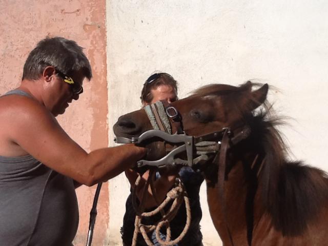 SOUCHAL BRUNO