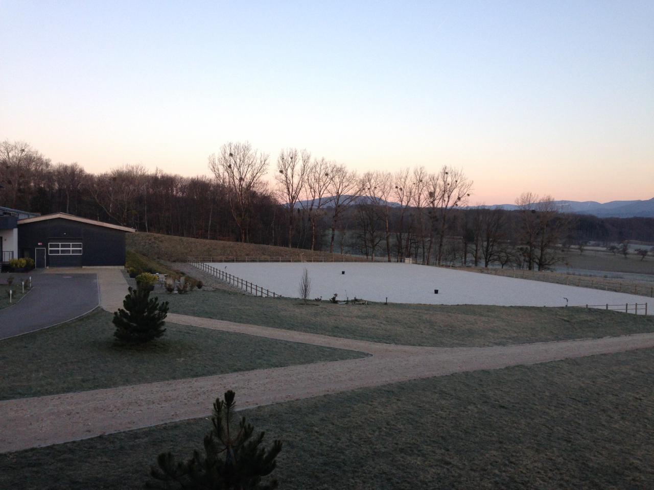 TOUS TYPES DE PENSION CHEVAUX 30 MIN / BASEL