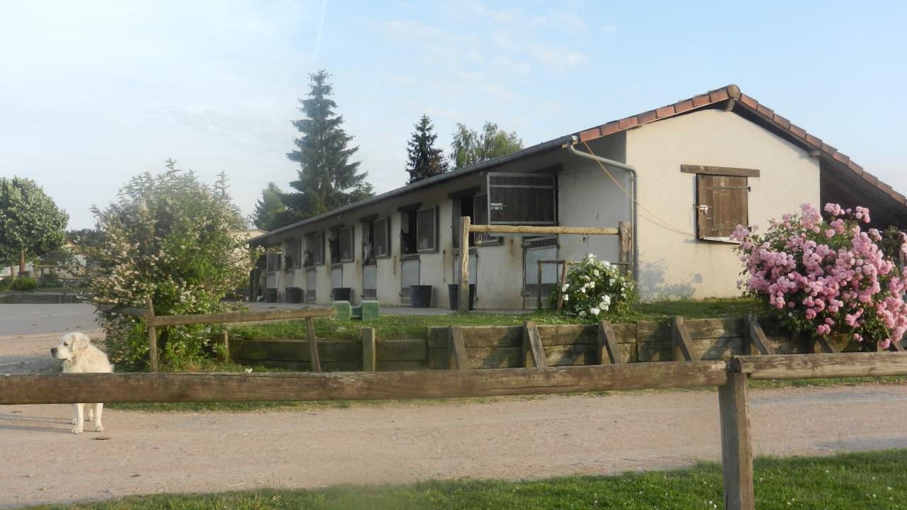 Stage d'équitation proche Paris