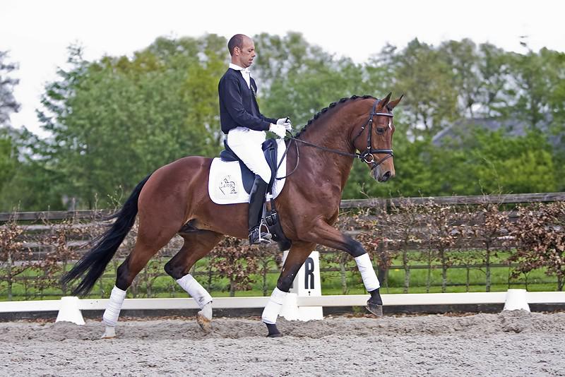 Saillies de ZZ TOP - ETALON DE SPORT 