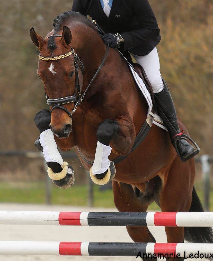 Saillies de ZZ TOP - ETALON DE SPORT 