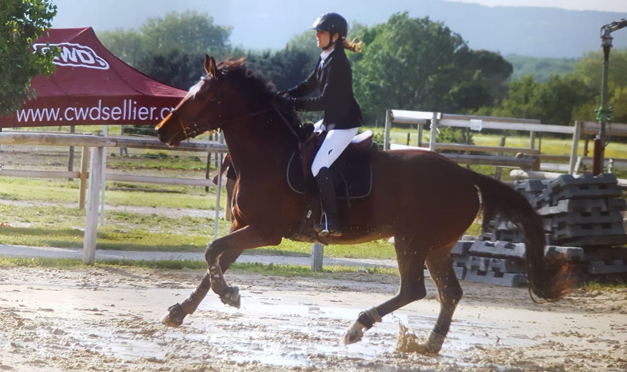 Saillies de ZZ TOP - ETALON DE SPORT 