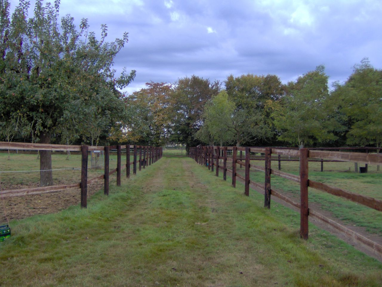 Pension Chevaux au coeur du Pays D'Auge