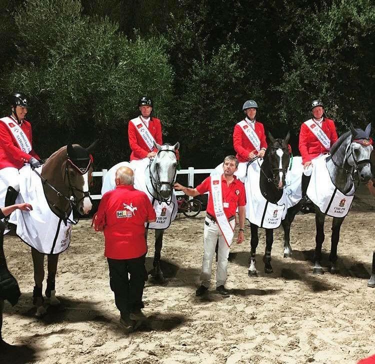 Un super étalon 5* INTERNATIONNAL pour votre jument