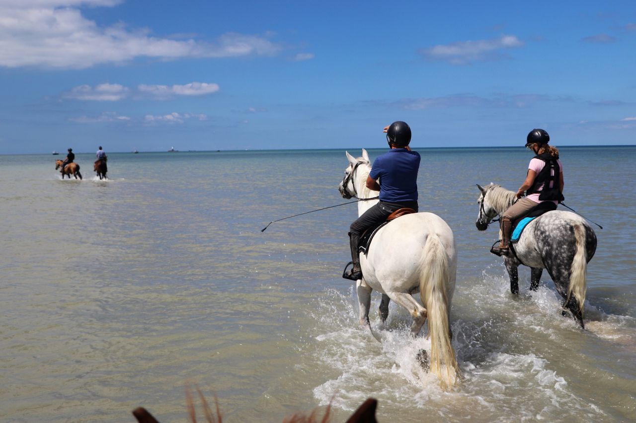Gîtes équestres bord de mer
