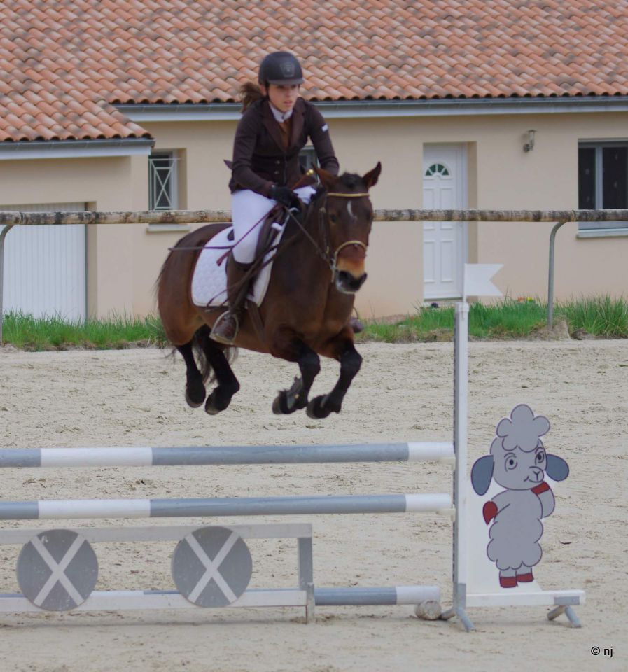 Bon potentiel sportif et excellentes origines