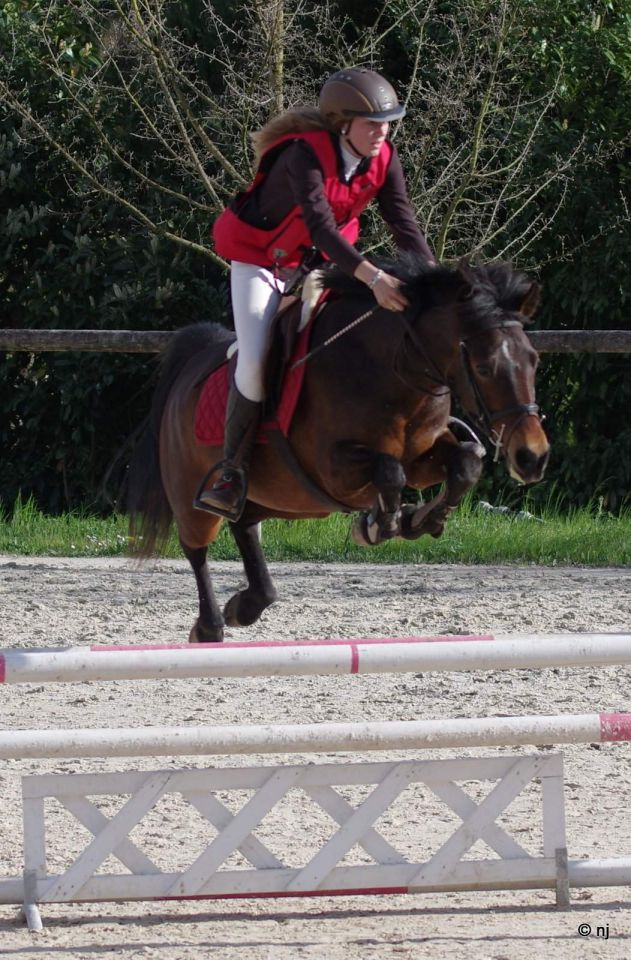 Bon potentiel sportif et excellentes origines