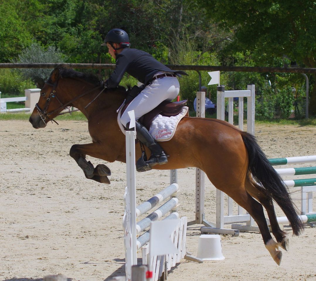 Très bon coup de saut, du potentiel
