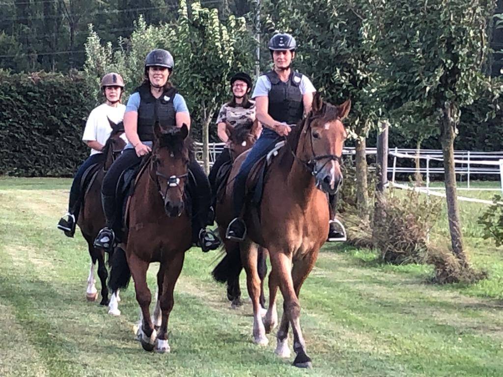 Pension pour chevaux - boxes et boxes terrasse à louer