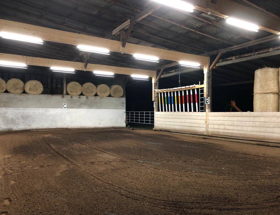 Pension pour chevaux - boxes et boxes terrasse à louer