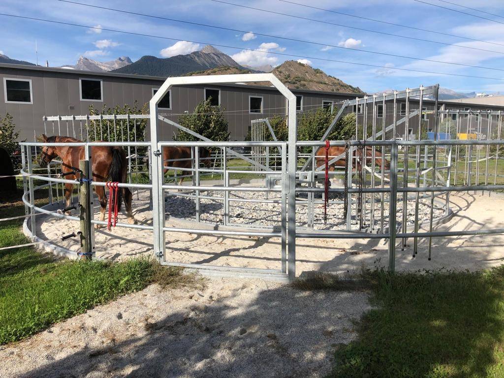 Pension pour chevaux - boxes et boxes terrasse à louer