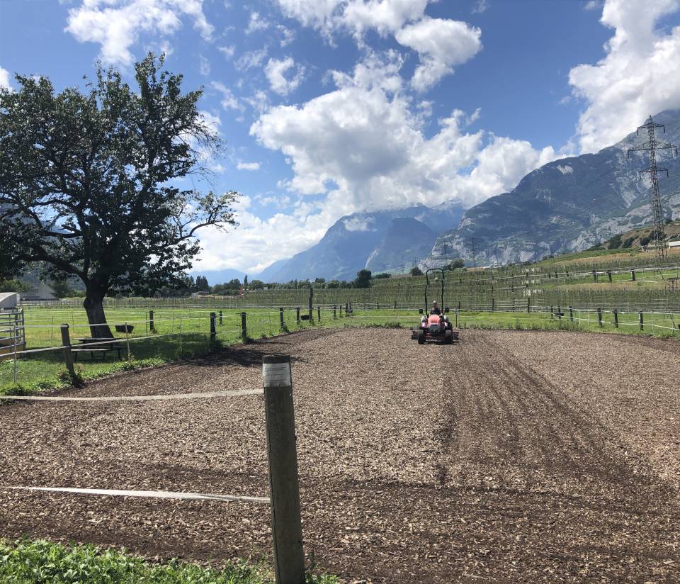 Pension pour chevaux - boxes et boxes terrasse à louer